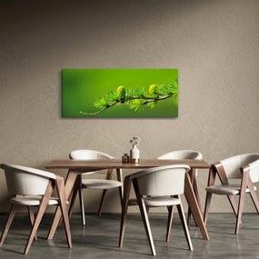 Obraz zelenej šišky (120x50 cm)