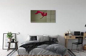 Sklenený obraz Žena ružové motúz materiál 120x60 cm