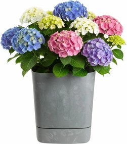 Květináč CUBI 34x36,4 cm šedý beton