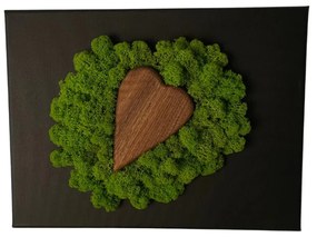 Obraz s dreveným srdiečkom a machom 20 x 30 cm