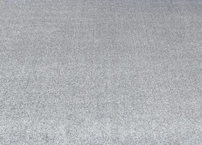 Koberce Breno Metrážny koberec DALESMAN 73, šíře role 500 cm, sivá, viacfarebná