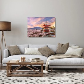 Sklenený obraz - Fuji (70x50 cm)