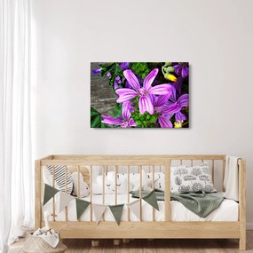 Obraz - lúčne kvety (90x60 cm)
