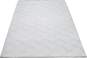 Koberec Rabbit 3D Carving GREY/WHITE 1 rozmery koberec: 160x220 cm