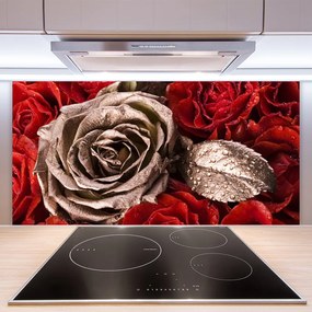 Nástenný panel  Ruže kvety 140x70 cm