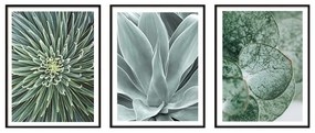 Obrazy v súprave 3 ks 30x40 cm – knor