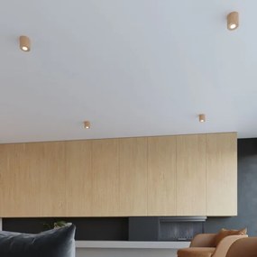 Sollux SL.0492 - Bodové svietidlo ORBIS 1xGU10/10W/230V drevo