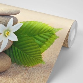 Samolepiaca fototapeta biely kvet a kamene v piesku - 225x150