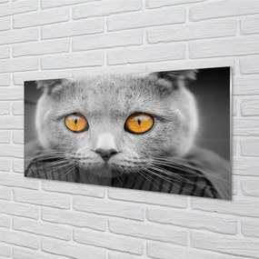 Sklenený obraz Sivá Britská mačka 120x60 cm