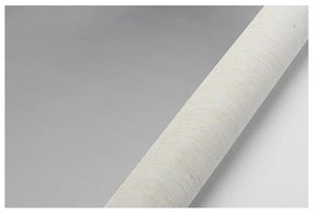 Béžová roleta 97x150 cm Mini Termo – Gardinia