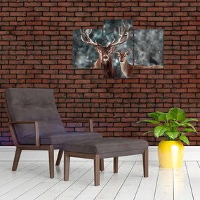 Obraz - Jeleň a laň v zasneženom lese (90x60 cm)