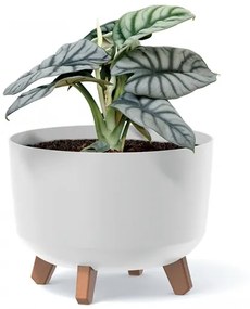 Plastový kvetináč na nožičkách DGRL240 23,8 cm - zelená