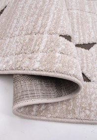 Koberec FASHION 32024/K110