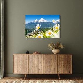 Obraz - Jar v Alpách (90x60 cm)