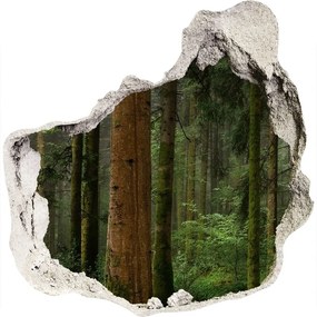 Díra 3D ve zdi nálepka Hmla v lese nd-p-95353064