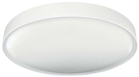 LED Stropné svietidlo SAMER LED/24W/230V 4000K