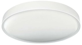 Greenlux LED Stropné svietidlo SAMER LED/24W/230V 4000K GXLS362