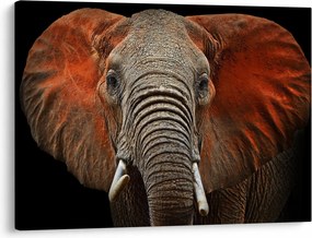 Obraz - Slony z Tsavo (70x50 cm)