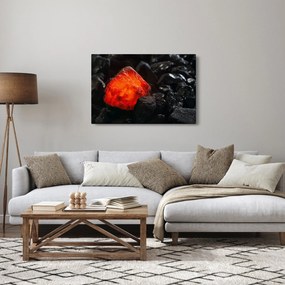 Obraz - Žeravý nerast (90x60 cm)