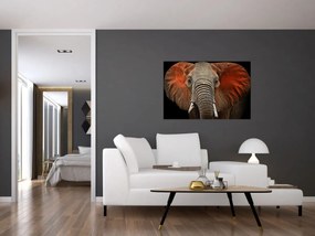 Obraz - Slony z Tsavo (90x60 cm)