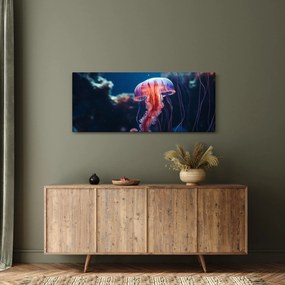 Obraz - Medúzka (120x50 cm)