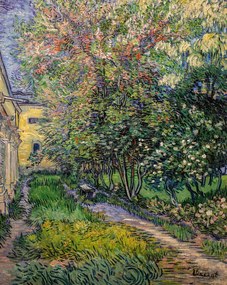 Obrazová reprodukcia The garden at the asylum at Saint-Rémy (1889), Vincent van Gogh