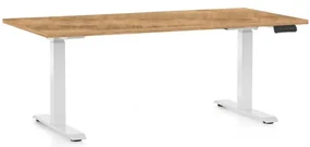 Výškovo nastaviteľný stôl OfficeTech C, 160 x 80 cm, biela podnož, dub zlatý
