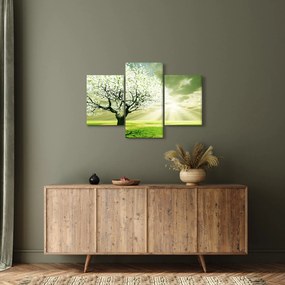 Obraz stromu na lúke (90x60 cm)