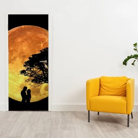 Fototapeta na dvere - Tiene v mesačnom svetle (95x205cm)