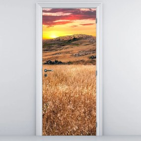 Fototapeta na dvere - Pole (95x205cm)