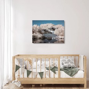 Sklenený obraz - Rozkvitnuté stromy v Ázii (70x50 cm)