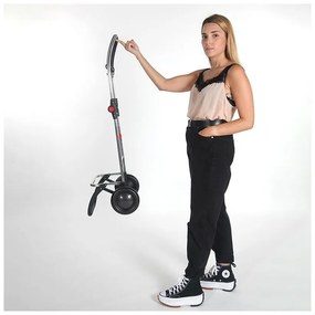 Nákupná taška na kolieskach 43 l Mini Bag MF 2 Logic – Rolser