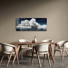 Obraz - Snehobiele stromy (120x50 cm)