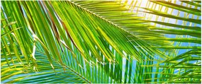 Obraz - Palmové listy (120x50 cm)
