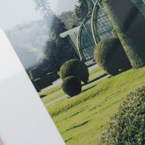 The Poster Club Plagát Topiary by Laura Short 30x40