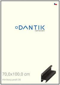 DANTIK rám na obraz 70x100 | ALU Černá matná (Plexi Čiré)