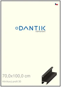 DANTIK rám na obraz 70x100 | ALU Černá matná (Plexi Čiré)