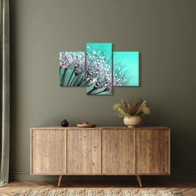 Obraz - orosená rastlina (90x60 cm)