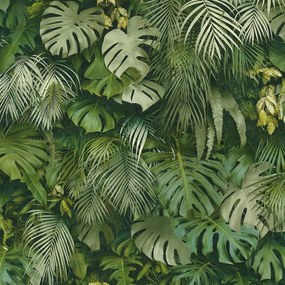 Vliesové tapety na stenu Greenery palmové listy a listy Monstera zelené