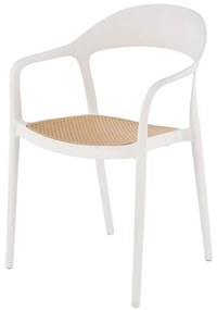 Stolička K530 biela/prírodné