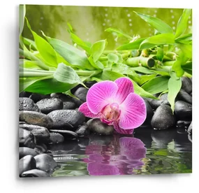 Sablio Obraz Ružová orchidea - 50x50 cm