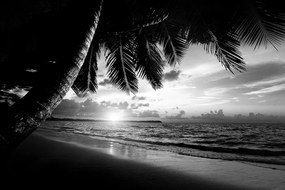 Samolepiaca fototapeta čiernobiela karibská pláž - 375x250