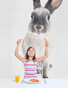 Samolepka do detskej izby králik Harry 50x103cm