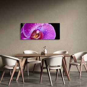 Detailný obraz kvetu orchidey (120x50 cm)