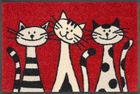 Kreslené mačičky- červená rohožka 50x75 cm