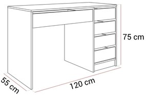Písací stôl so zásuvkami WORK II biela matná 120 cm