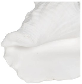 Soška z polyresínu (výška 13 cm) Seashell – Ixia
