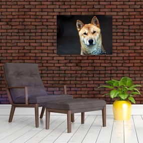 Sklenený obraz psa (70x50 cm)