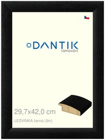 DANTIK rám na obraz 29,7x42 | LEDVINKA černá (Plexi Čiré)
