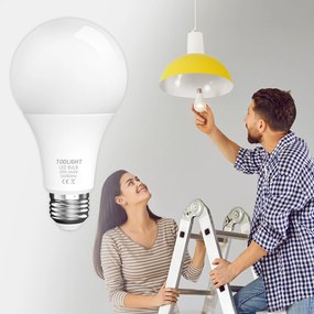 Toolight Rea, Teplá LED žiarovka RSL031 E27 15W Cold, OSW-20016